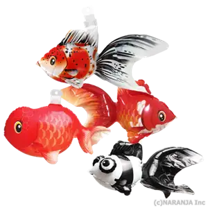 金魚4種