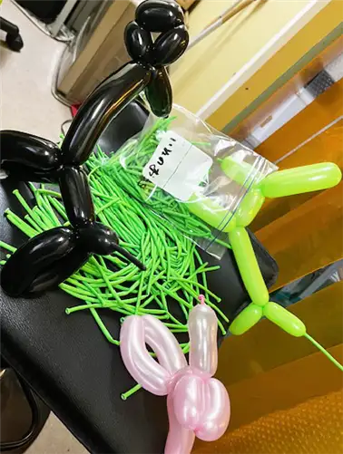 いぬのおうち