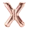 (画像)X