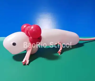 ウーパールーパー・オオサンショウウオ