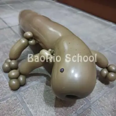 ウーパールーパー・オオサンショウウオ