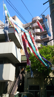 今日も快晴！