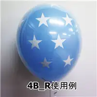 4B_R使用例