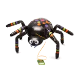 クモ
