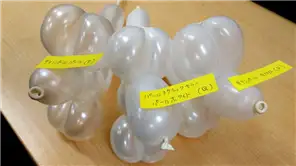 パールホワイト比較2