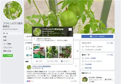 フウセンカズラ普及委員会