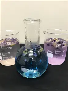 20191017004