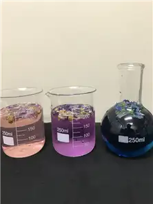 20191017007