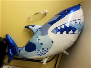 サメ比較
