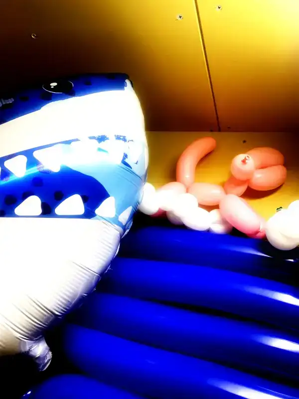サメ
