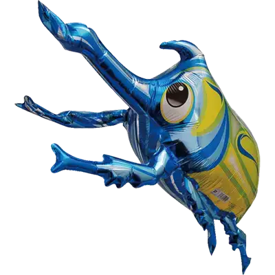 カブトムシ