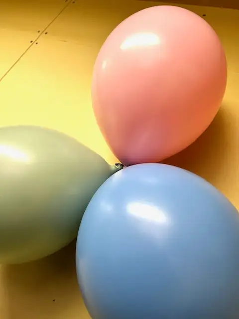 ロミージョージアメドウ