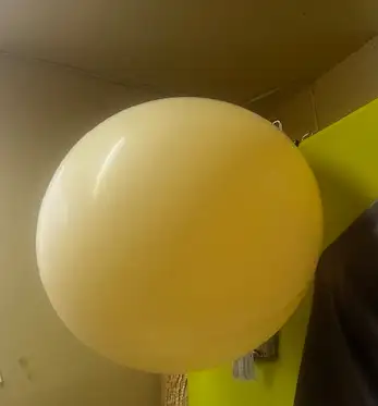 22日