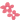 梅の花