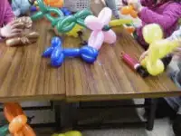 (活動画像)