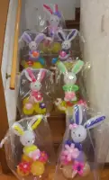(活動画像)