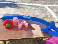 (活動画像)