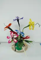(活動画像)