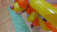 (活動画像)
