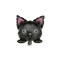 (画像)クロ