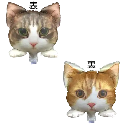 アンジェ ＆ ソル