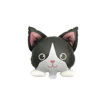 ハチワレ