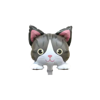 キジシロ