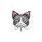 (画像)キジシロ