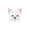 (画像)しろしば