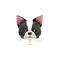 (画像)フレンチブル