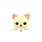 (画像)クリームチワワ