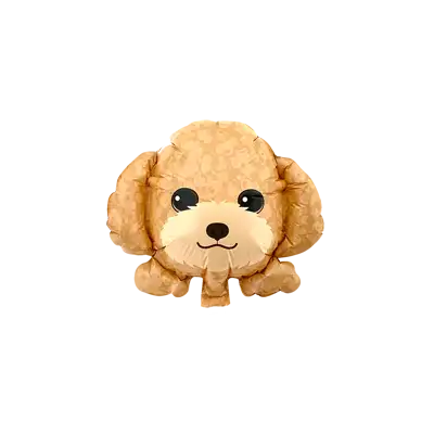 アプリコットプードル