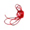 (画像)2.4m(1回分) ネオンレッド