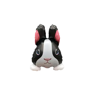 くろダッチ