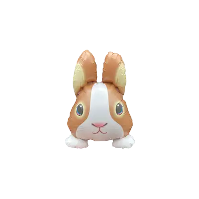 ちゃいろダッチ