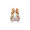 (画像)ちゃいろダッチ