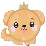 カワイイ パピー アプリコット