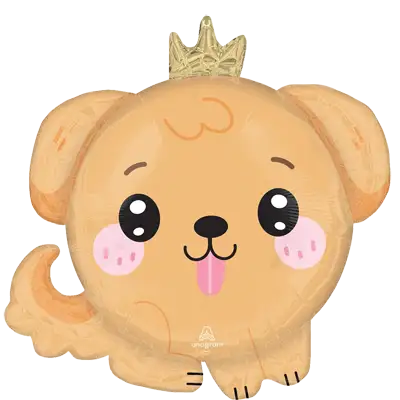 カワイイ パピー アプリコット
