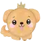 (画像)カワイイ パピー アプリコット