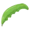 (画像)キーライム