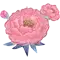 (画像)サテン ピオニー ガーデン