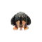 (画像)ダックスブラックタン