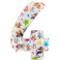 (画像)4