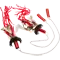 (画像)赤