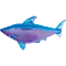 (画像)シャーク