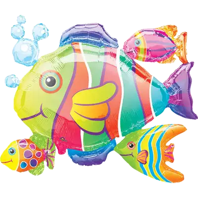トロピカル フィッシュ クラスター