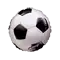 (画像)チャンピオンシップ サッカー 9インチ