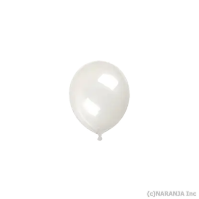 4/B_R 10インチ クリア (逆止弁なし) クリア
