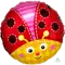 (画像)キュート レディバグ