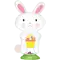 (画像)バニー
